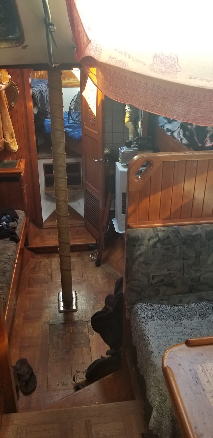 Top 7 Houseboat Rentals In Alaska, USA Updated 2024 Trip101