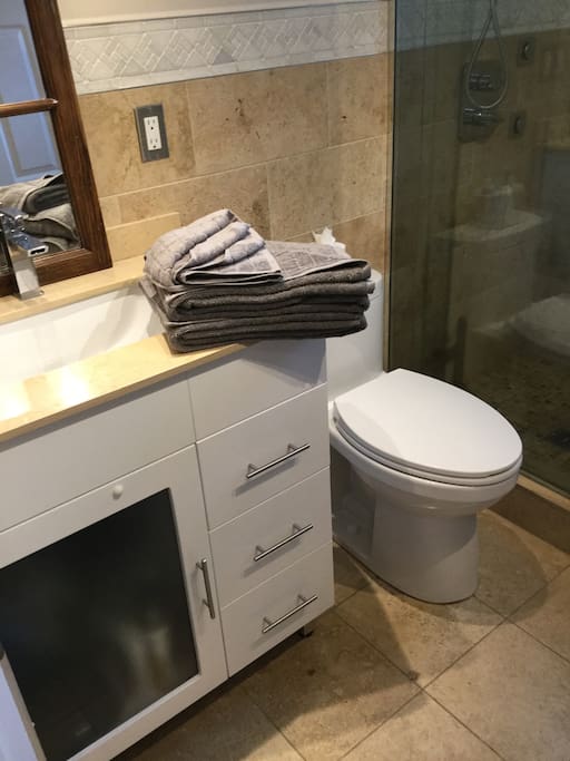 Beautiful brand new bathroom.