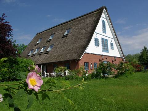 Stylish country house under thatch. Groups welcome