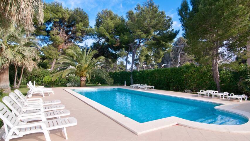 Drac Blanc 1-3 gallery image 2