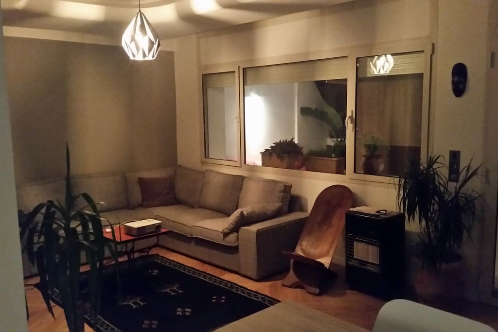 Le salon et son canapé confortable