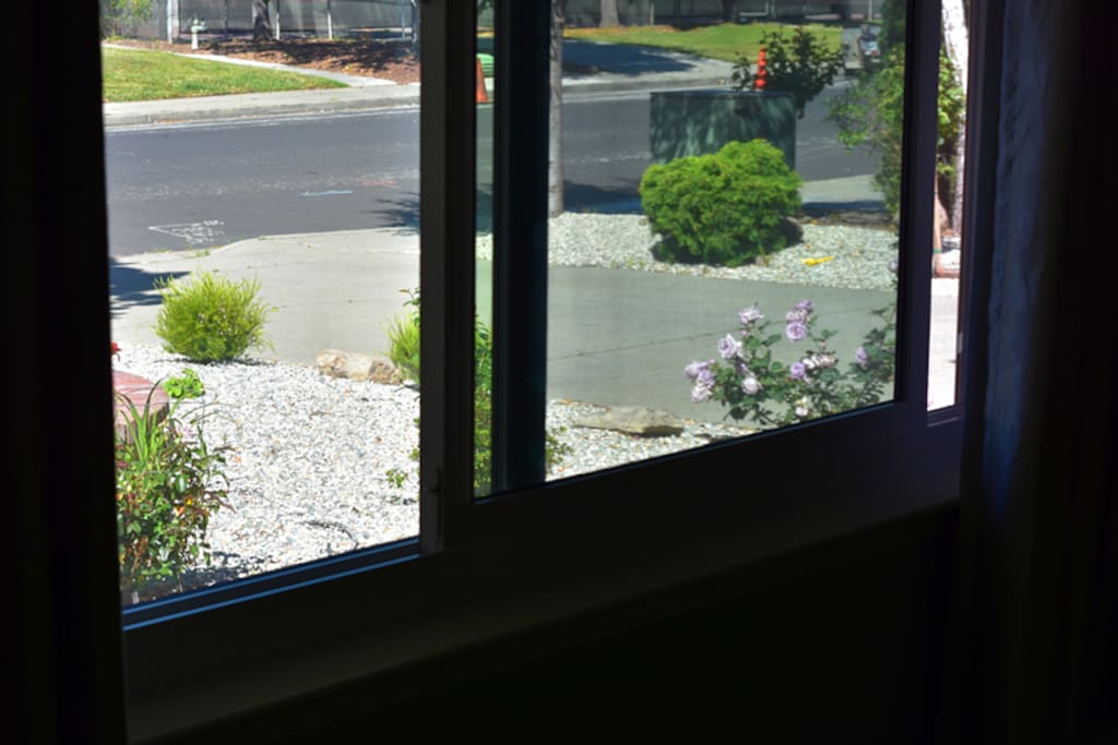 Front garden from the room