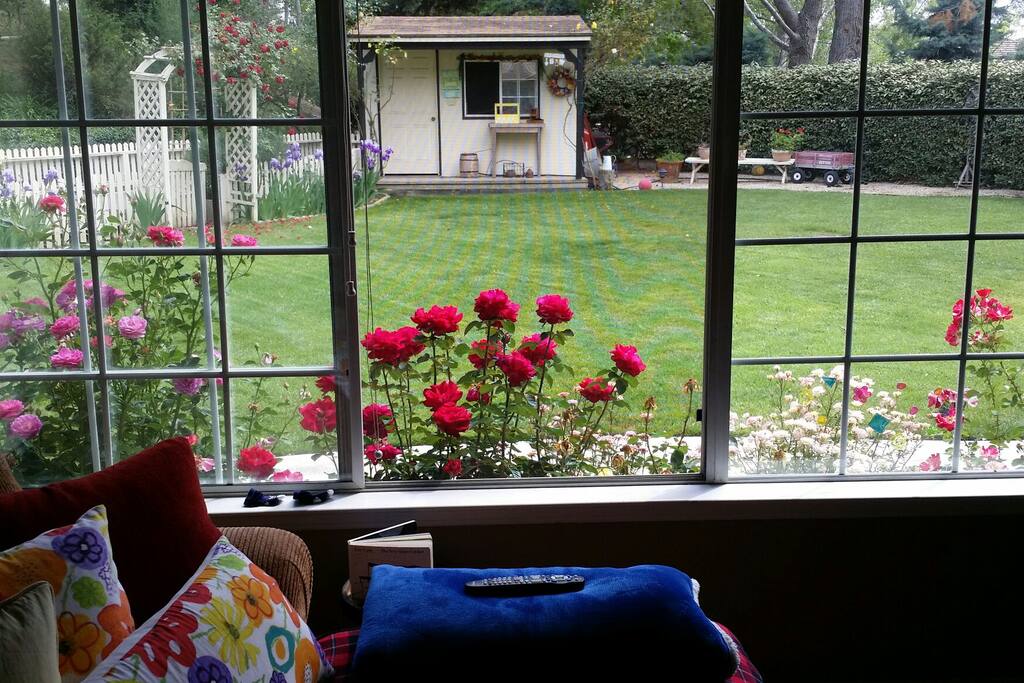 Big Backyard for Multi Purpose Use