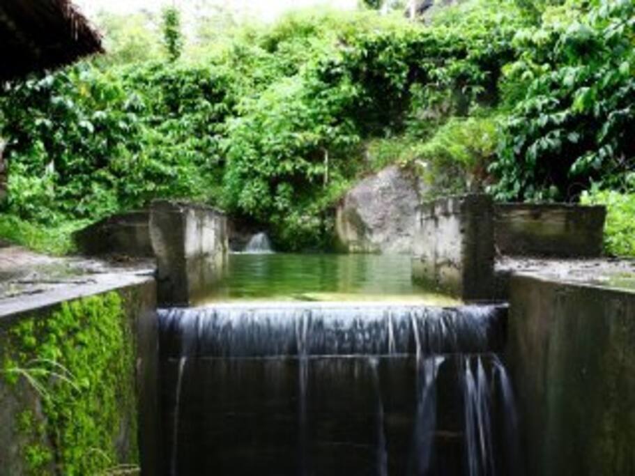 Natural Pond