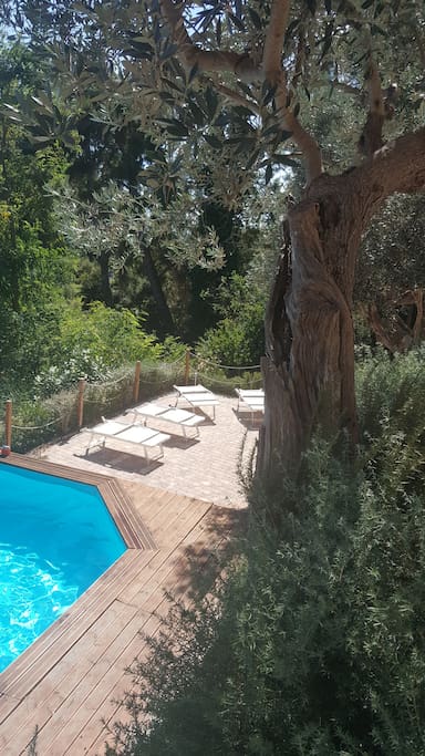 Piscina con solarium