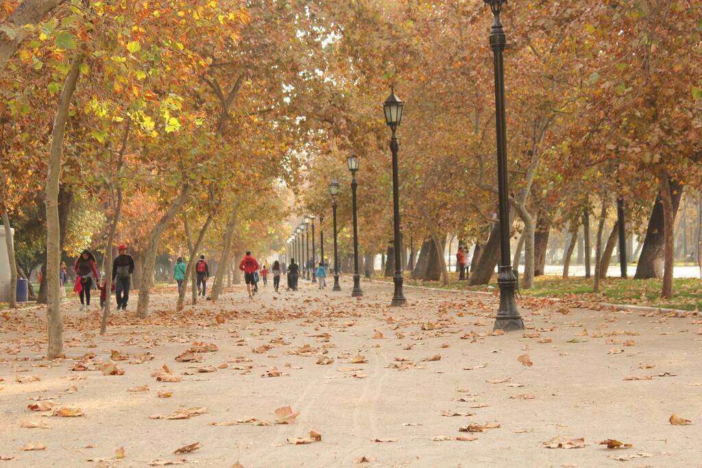 Parque Forestal en otoño.