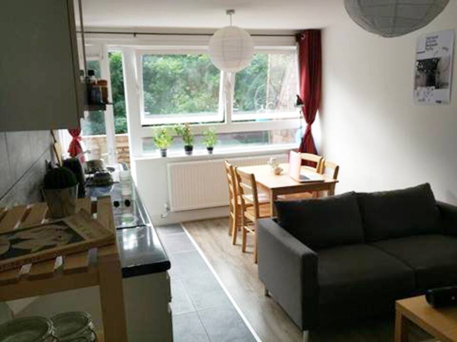 Kitchen / Living Room