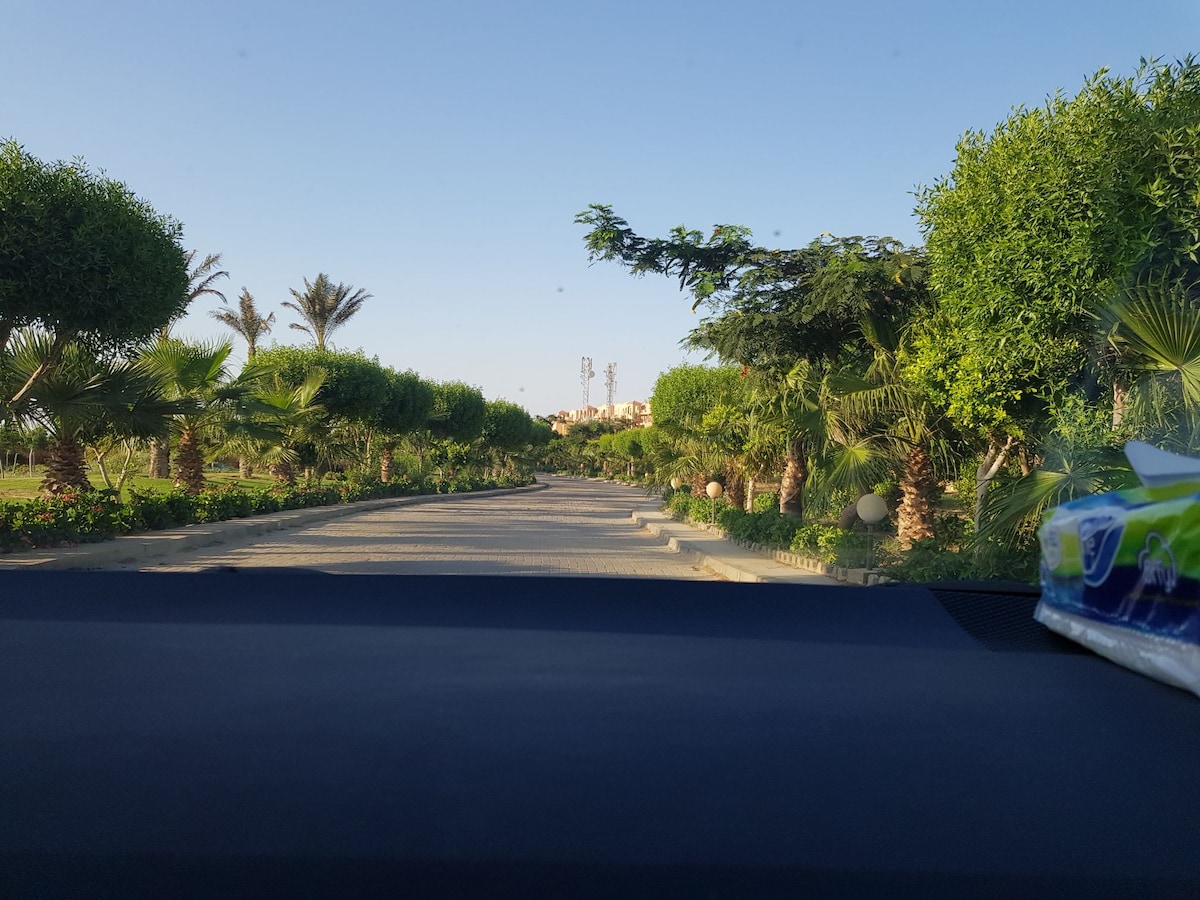 A scenic pathway lined with lush green palms and neatly trimmed hedges is visible. The route leads towards a clear blue sky, enhancing the tranquil atmosphere. Various landscaping elements are present, contributing to a serene entryway into the resort.