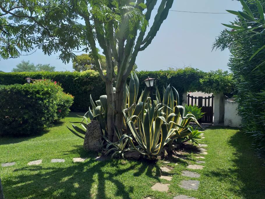 Giardino