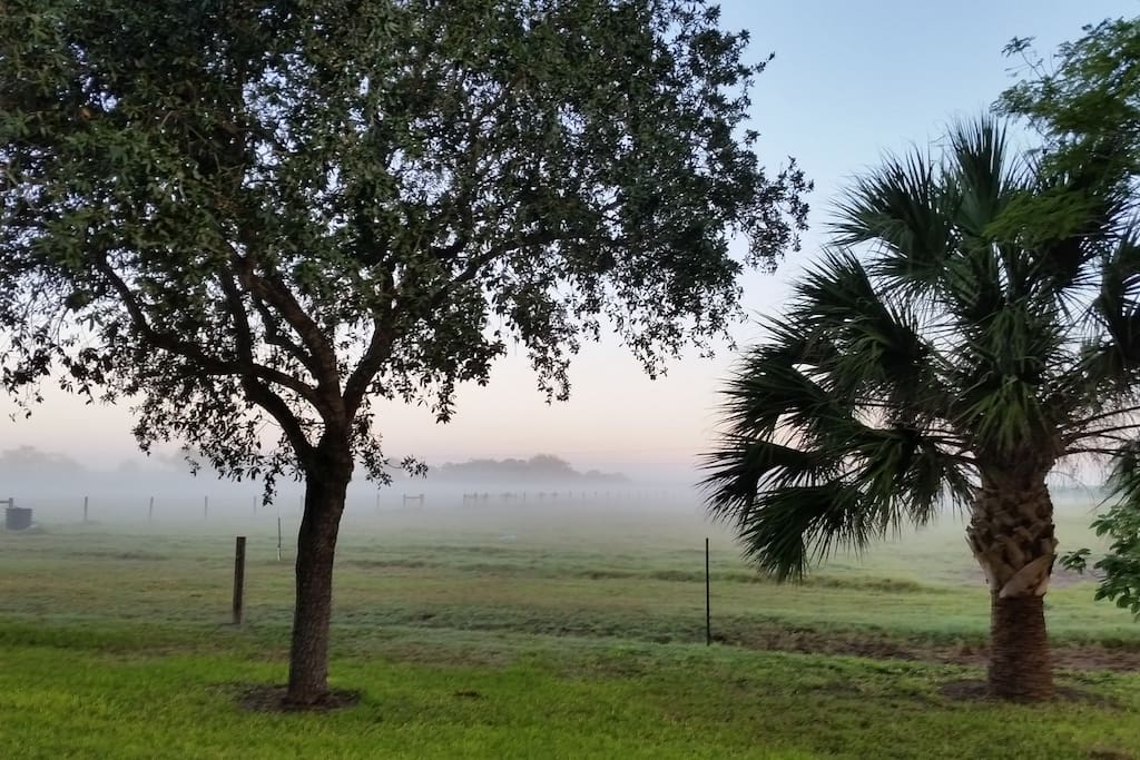 Sit on the front porch and watch the birds, cattle or the mist roll across the pasture with your coffee.