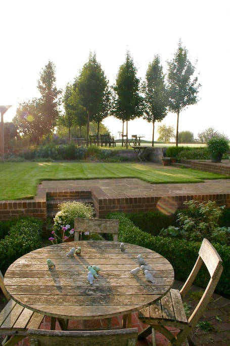 garden