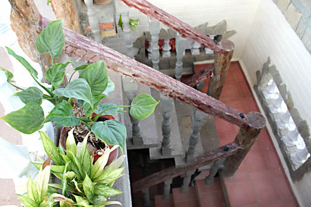 Escalera al segundo nivel