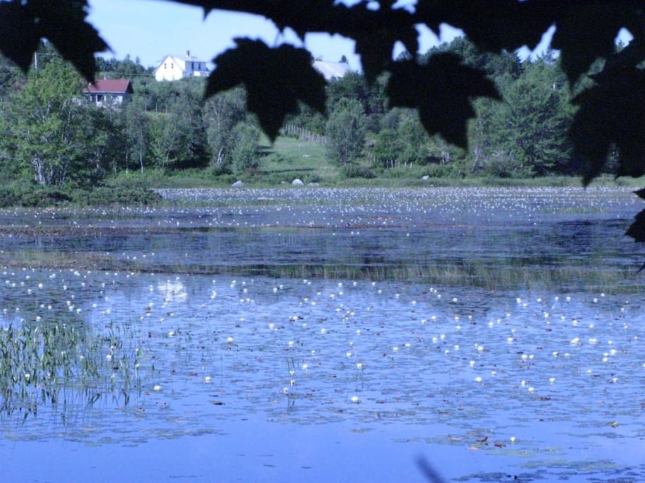 View to Jerry Lake