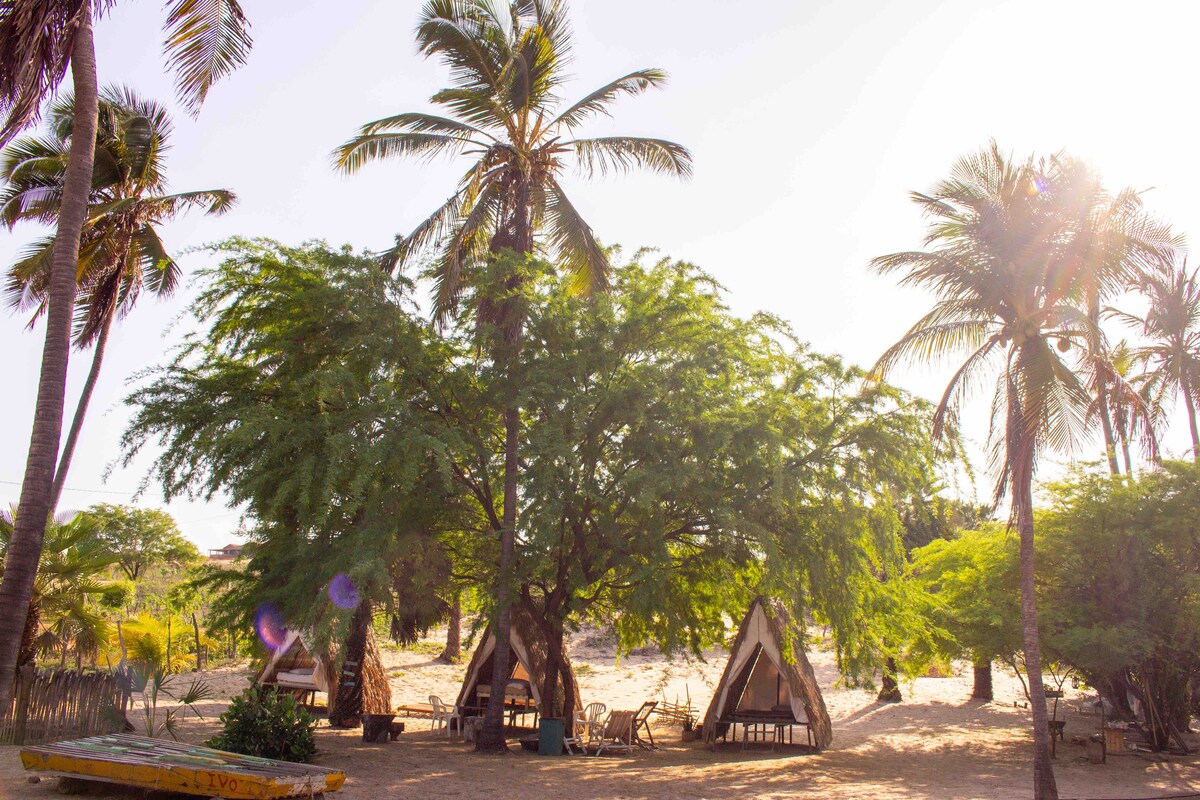 Three wooden structures with straw roofs are positioned under a canopy of palm trees, surrounded by sandy terrain. Sunlight filters through the branches, creating dappled patterns on the ground, while the gentle sway of palms suggests a tranquil atmosphere.