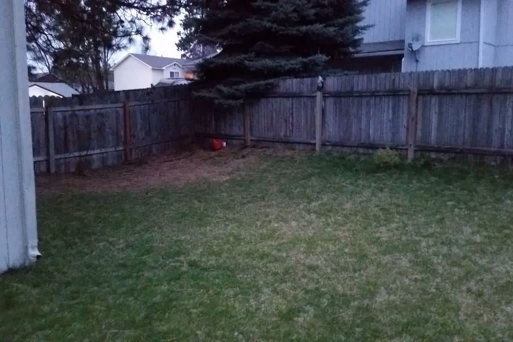 One half of our backyard at dusk.