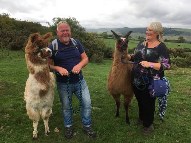 Llama Trekking On The North York Moors