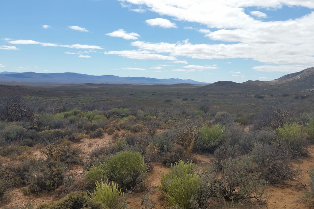 The desert