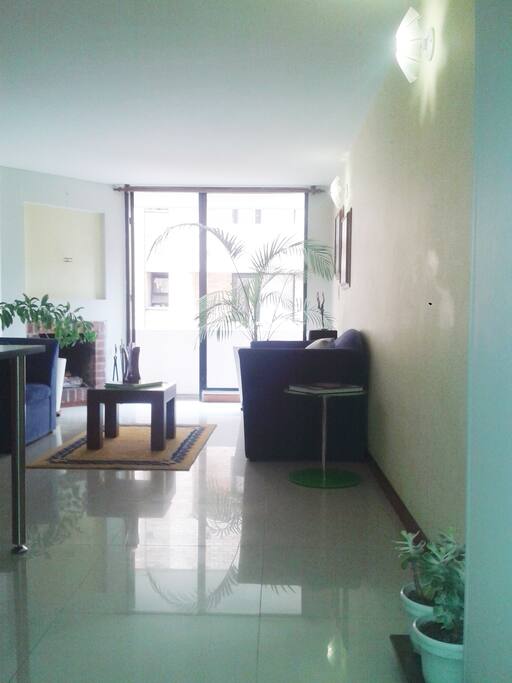 Ambiente social con chimenea y balcón