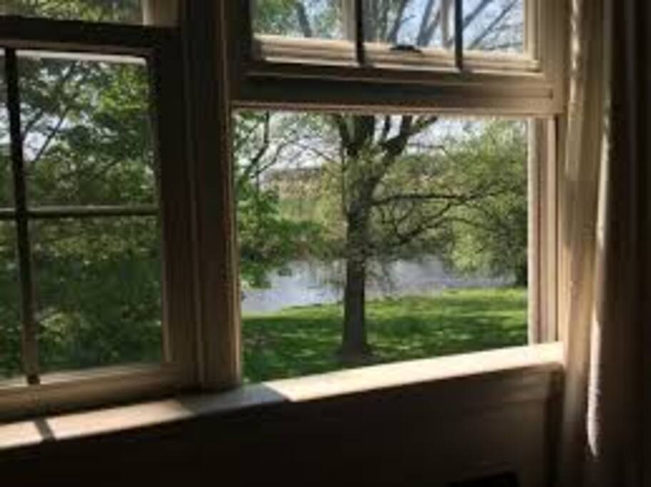 The view from your window