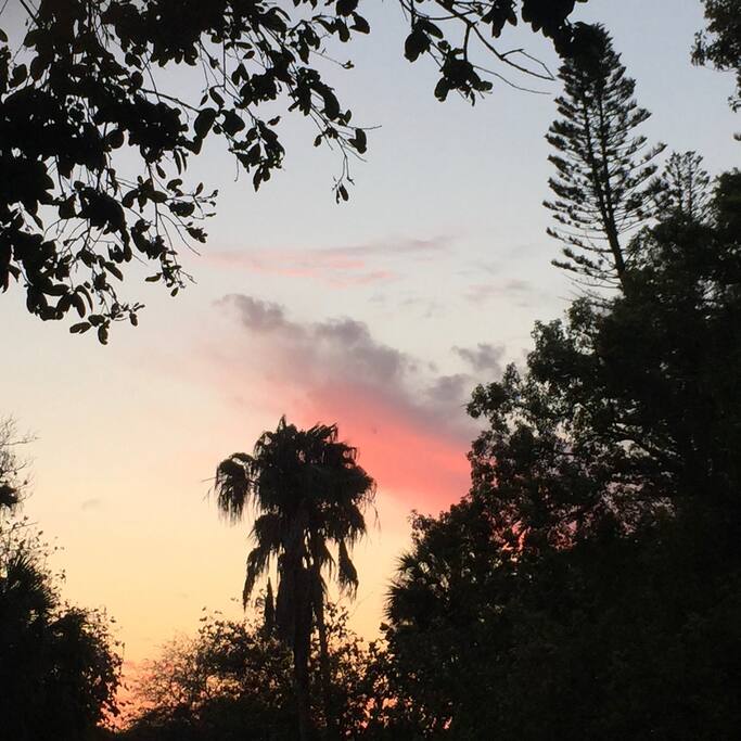 View outside house of Sunset.