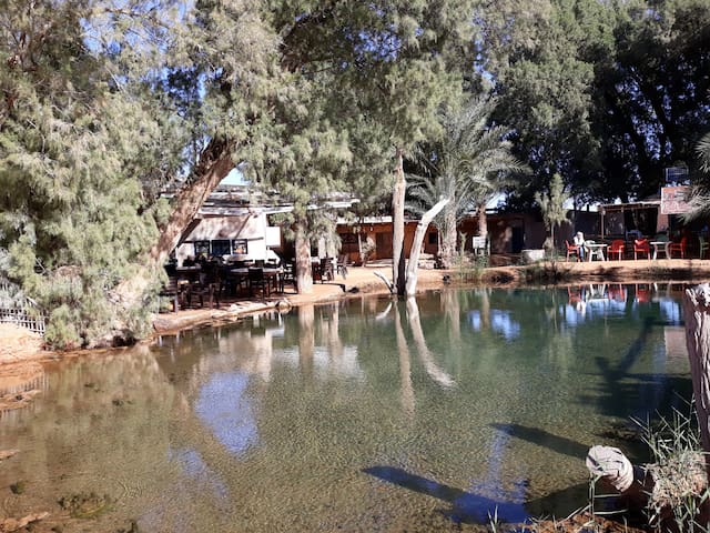 Ksar Ghilane 2