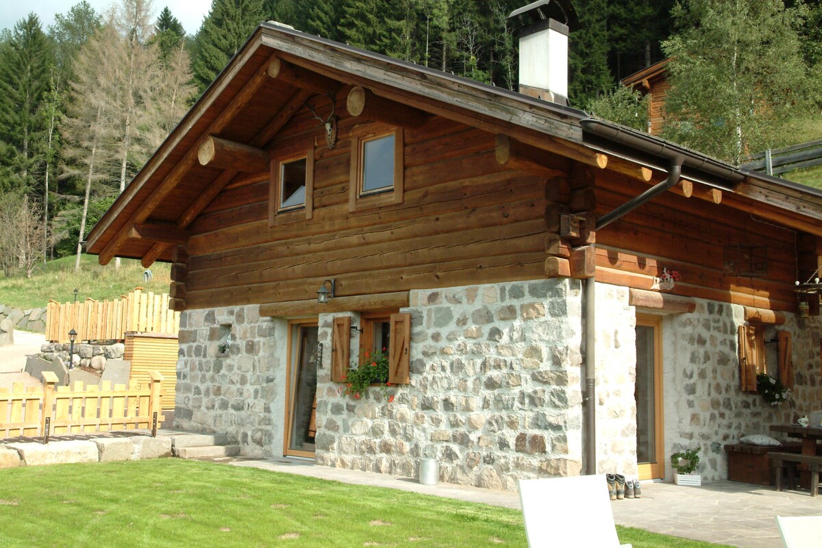 The exterior of a rustic mountain cabin is showcased, featuring stone walls and wooden beams. The sloped roof is adorned with a chimney, and windows are framed with flower boxes. A verdant lawn extends in front, surrounded by lush forested hills.