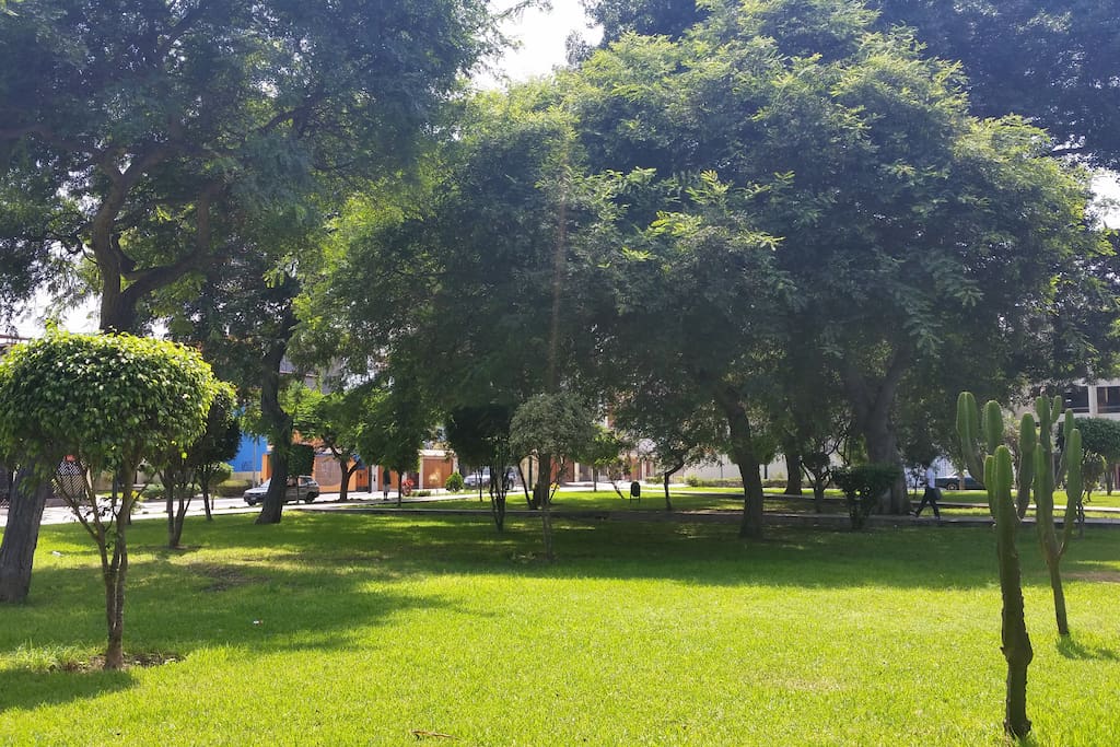 Uno de los parques que circundan al hospedaje.