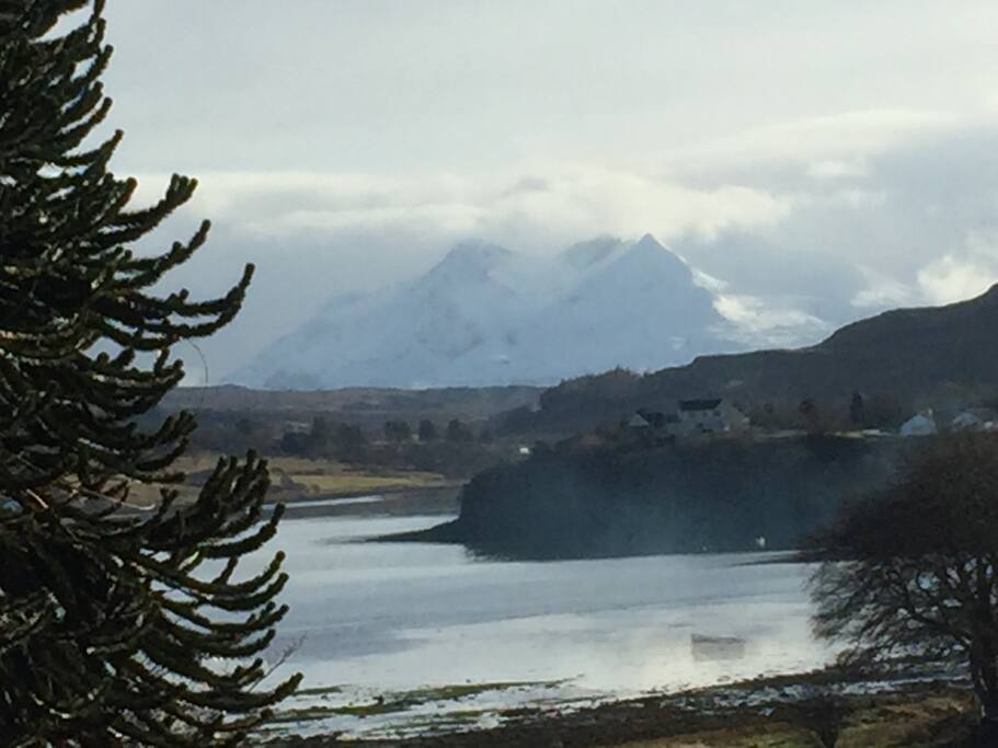 view from front garden