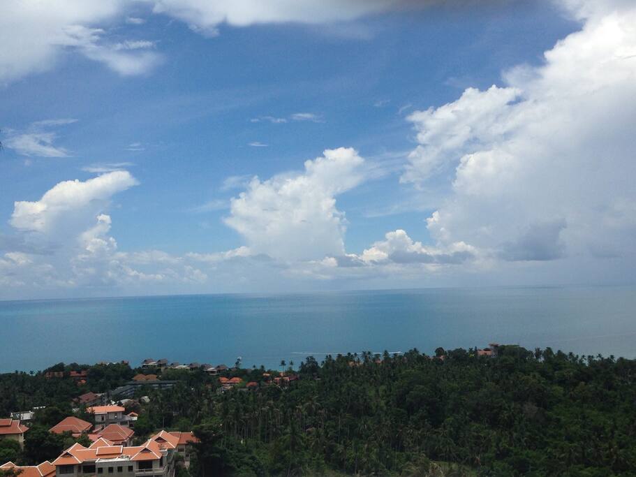 Vue du centre de la grande fenêtre du studio.