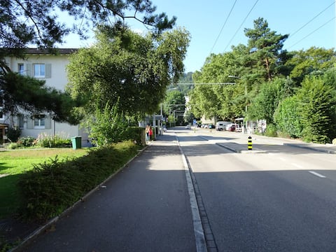 Enjoying the nature in the city