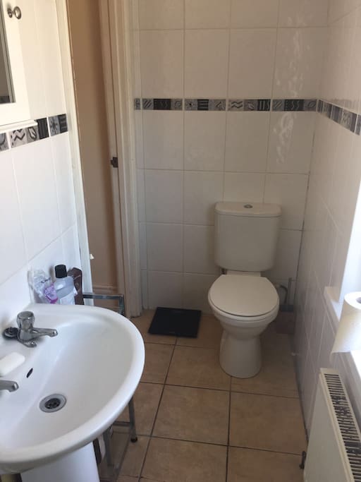 Toilet and sink.