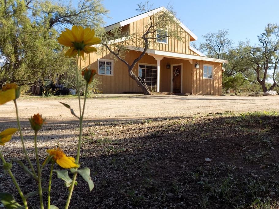 Yellow Barn