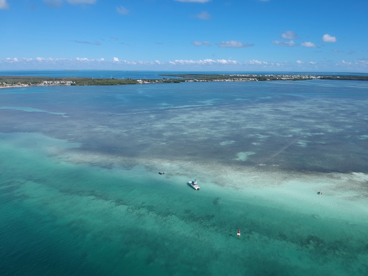 An aerial view captures the clear, turquoise waters of Tavernier Key, interspersed with patches of vibrant coral reefs. Small boats can be seen in the water, with a distant shoreline hinting at lush greenery and coastal developments under a bright blue sky dotted with fluffy white clouds.