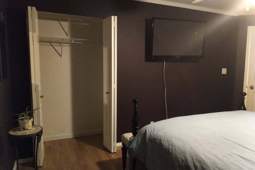 Closet, plant, and TV.