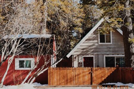 Bed in a “She Shed” get away.