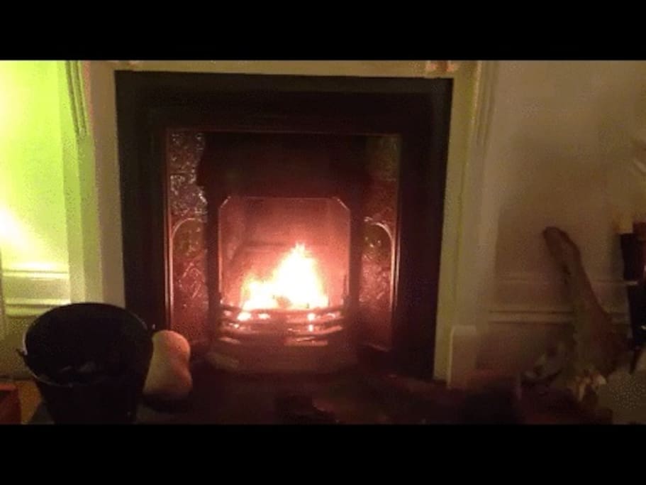 Living room open fire