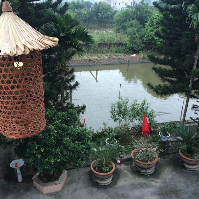 The pond in front of the yard