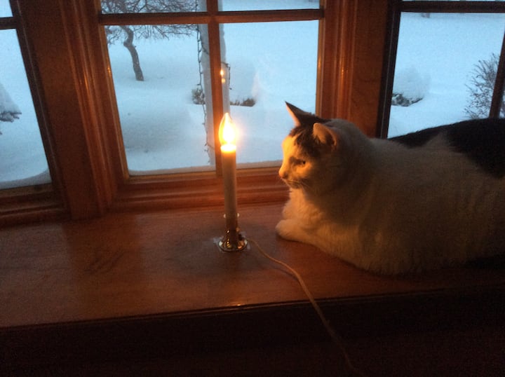 Palmyra Vacation Rentals & Homes New York, United States Airbnb