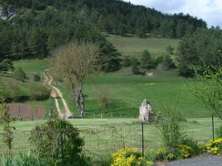 autour