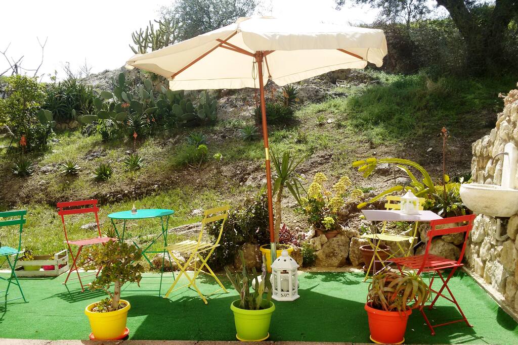 garden