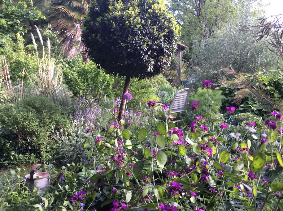 Attractive garden to enjoy