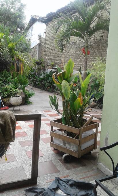 Amplios espacios con buena vegetación