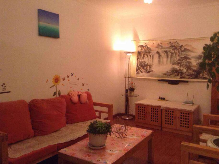 large and light living room 2