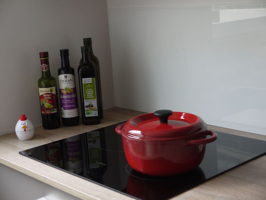 We will provide you everything you need to cook (pans, oil, vinegar, salt...)