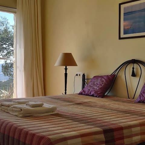 Villa Mas Nou gallery image 3