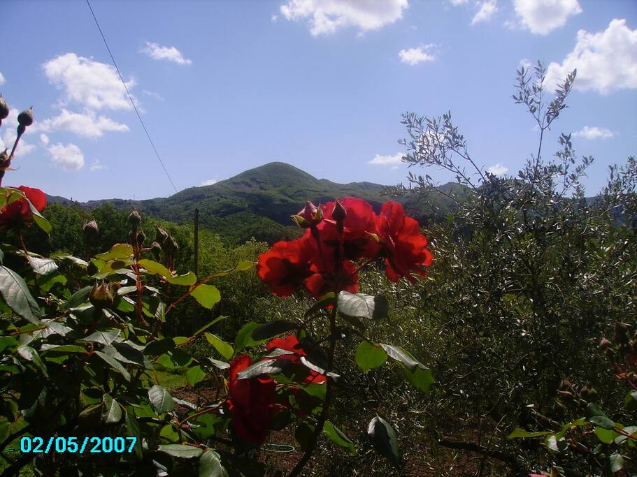 Panorama dalla veranda