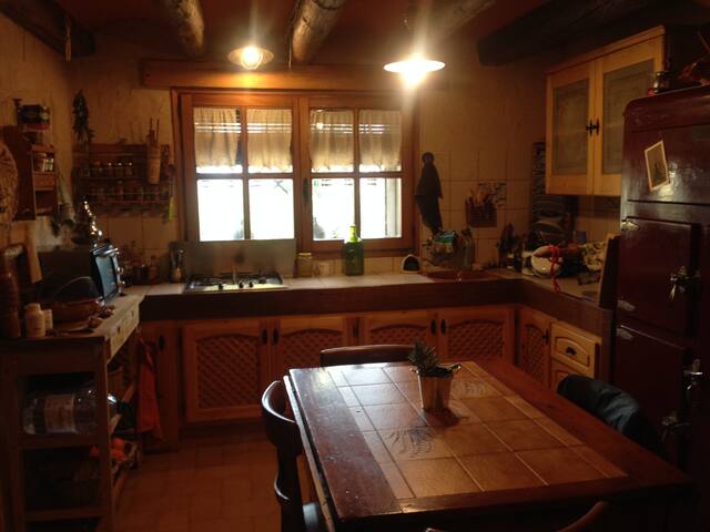 Get Decoracio de la cuina tropical For iPhone Decoracio De La Cuina Tropical