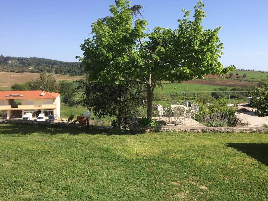 garden and view