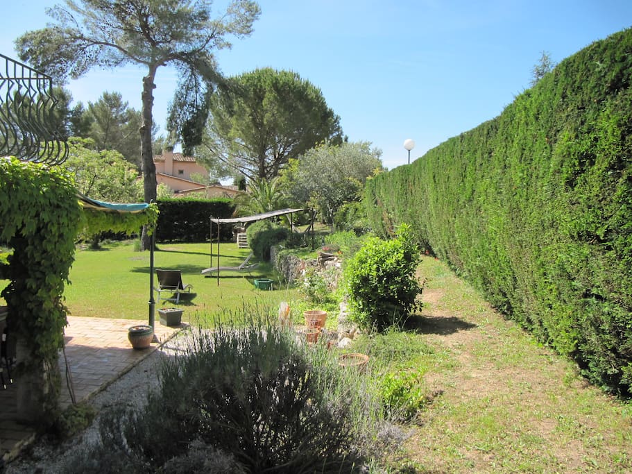 vue du jardin