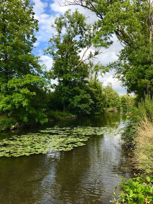 Canal en bas de la rue